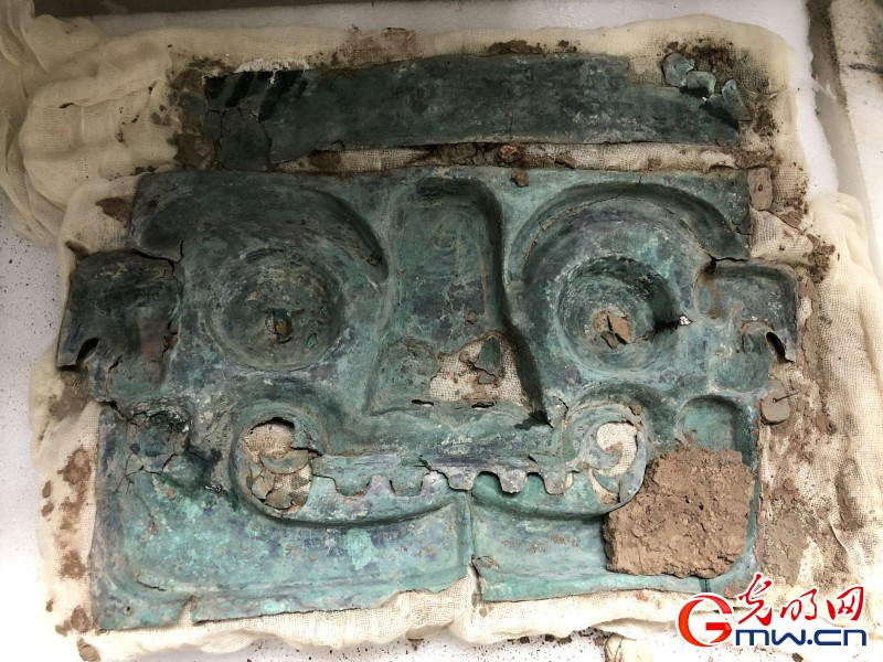 王占奎：考古人不伟大，但我享受考古的生活