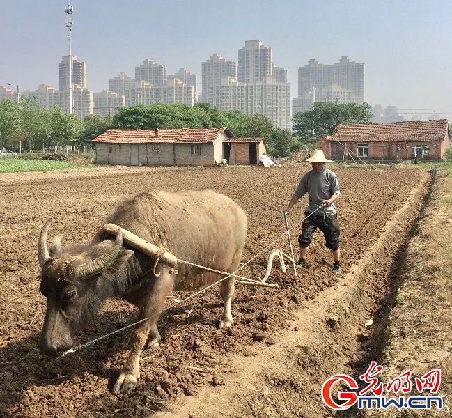 身边正能量手机摄影大赛第二阶段投票结果