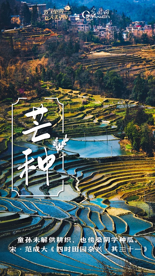 光明日报社会责任报告（2024年度）